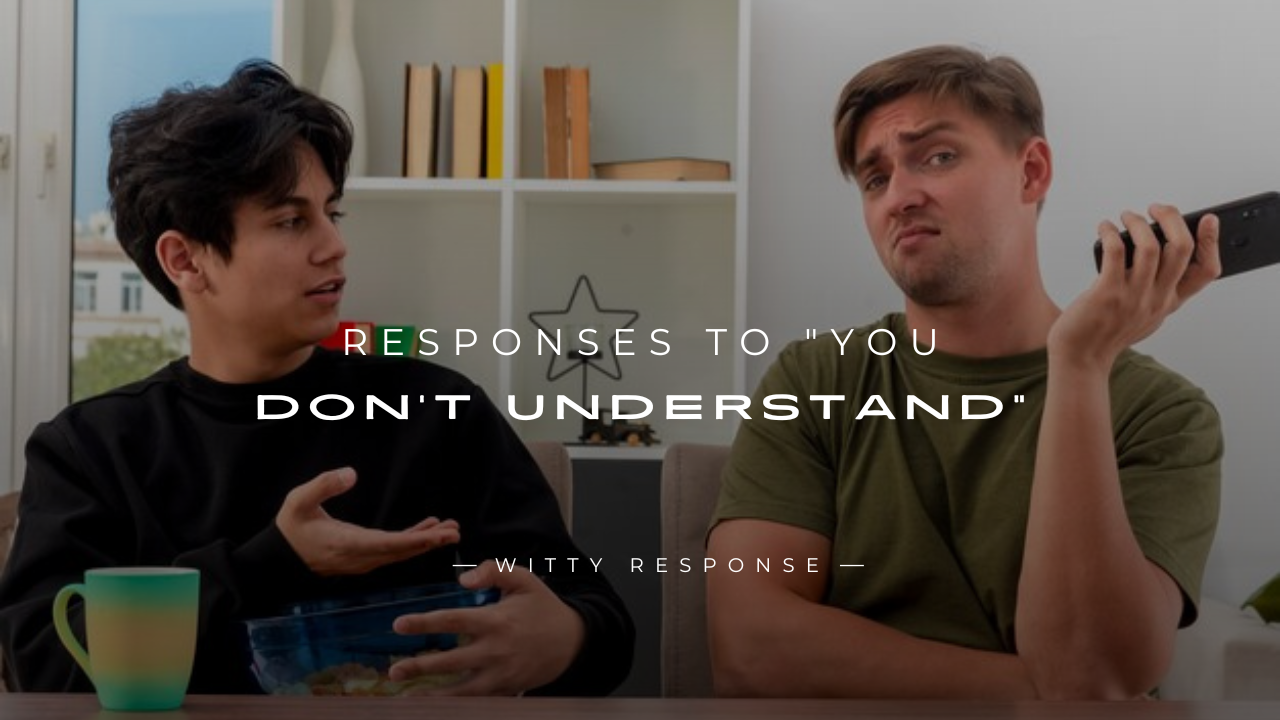 250+ Clever Responses To "You Don't Understand"